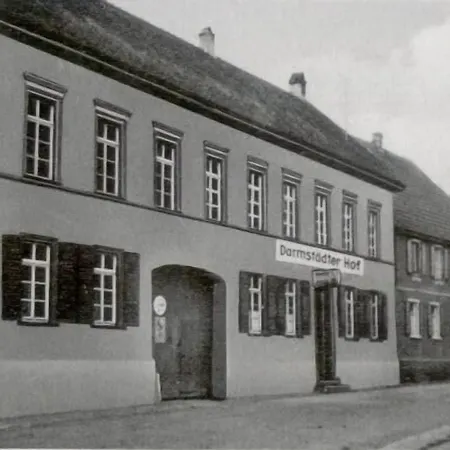 イン Darmstaedter Hof マインツ