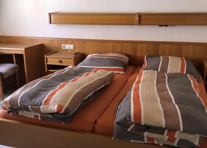 イン Darmstaedter Hof 3*