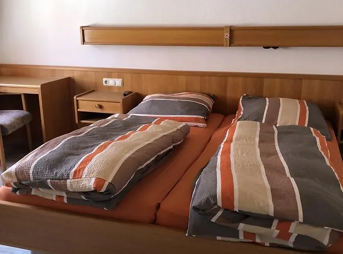 イン Darmstaedter Hof マインツ